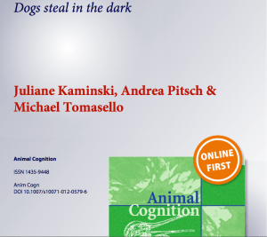 Titelpagina Dogs steal in the dark