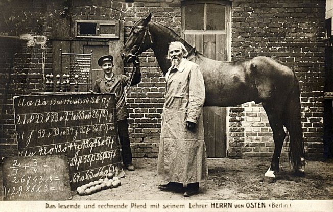 Het paard Slimme Hans, begin 20e eeuw Berlijn. Hans zou allerlei vragen van mensen kunnen beantwoorden...