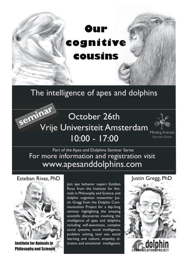 FlyerCognitiveCousins