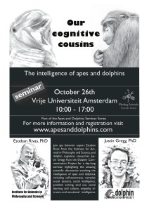 FlyerCognitiveCousins