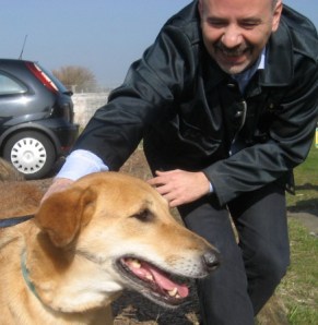 Hoe slim zijn honden?