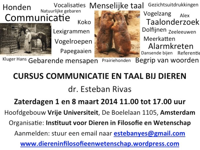 VignetCursusCommunicatieTaalBijDieren