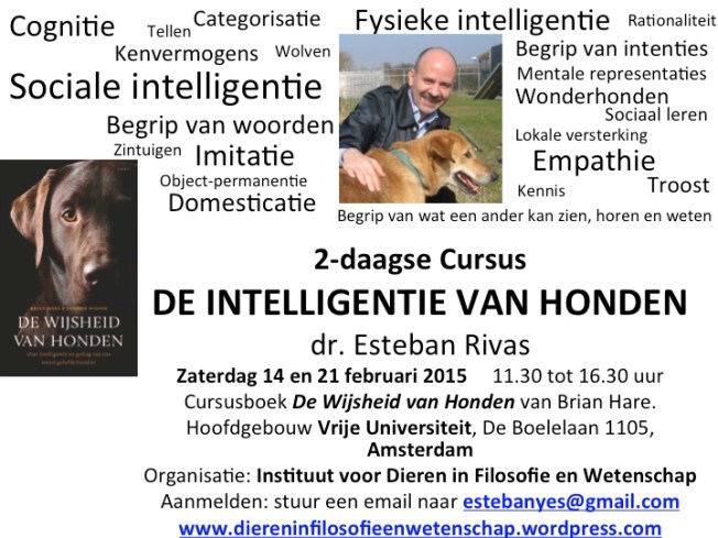 Vignet Hondencursus februari 2015
