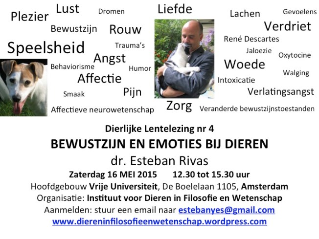 Vignet Bewustzijn en emoties 16 mei