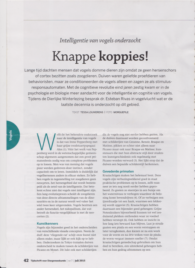 Artikel Tijdschrift Diergeneeskunde pagina 1
