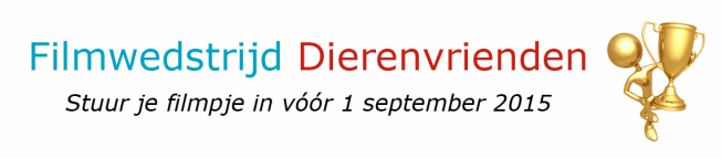 banner filmwedstrijd 2