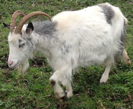 90058214_10222291310018400_8408247167457689600_o copy