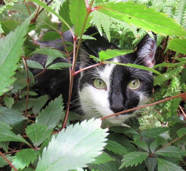 106800865_10223534472216678_8603417873552304300_n copy